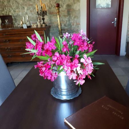 Вілла Casa Selene Rocchi Savignano sul Panaro Екстер'єр фото